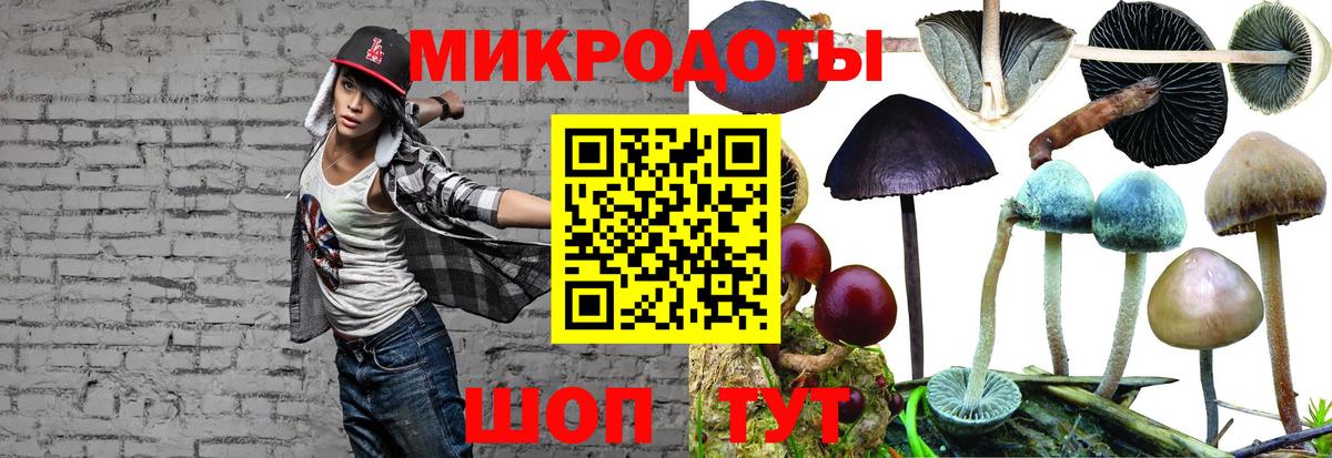 Галлюциногенные грибы прущие грибы  Вход с VPN  Калач-на-Дону 