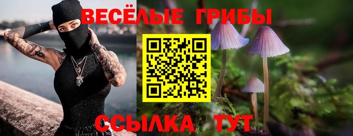 Псилоцибиновые грибы GOLDEN TEACHER Калач-на-Дону
